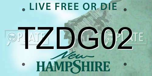 TZDG02 New Hampshire License Plate