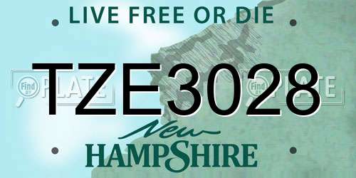 TZE3028 New Hampshire License Plate