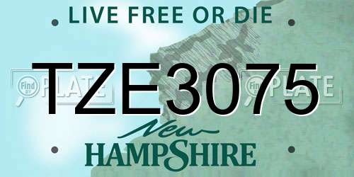 TZE3075 New Hampshire License Plate