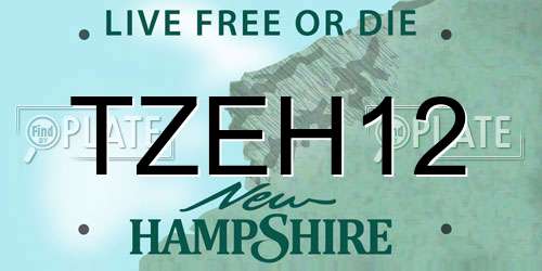 TZEH12 New Hampshire License Plate