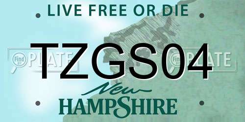 TZGS04 New Hampshire License Plate