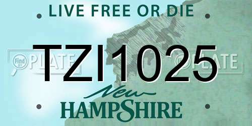 TZI1025 New Hampshire License Plate