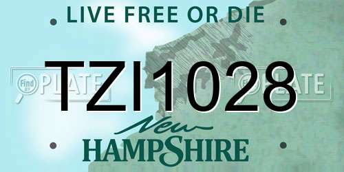 TZI1028 New Hampshire License Plate