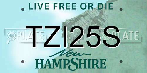 TZI25S New Hampshire License Plate