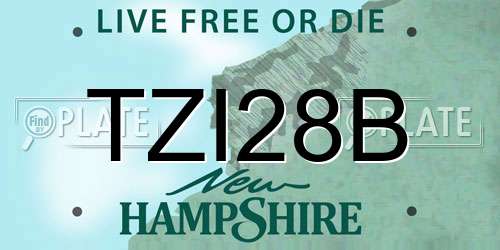 TZI28B New Hampshire License Plate