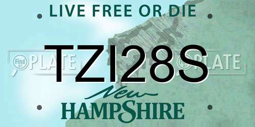 TZI28S New Hampshire License Plate