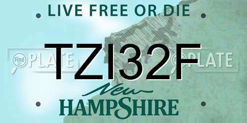 TZI32F New Hampshire License Plate