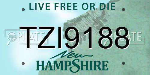 TZI9188 New Hampshire License Plate