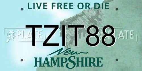 TZIT88 New Hampshire License Plate