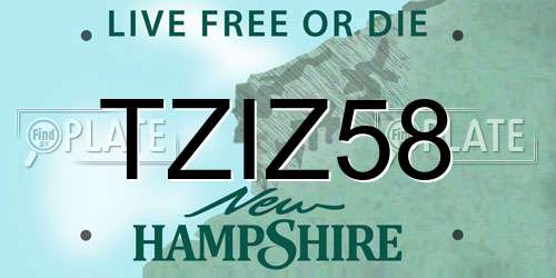 TZIZ58 New Hampshire License Plate