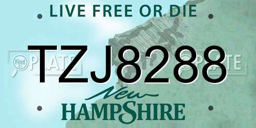 TZJ8288 New Hampshire License Plate