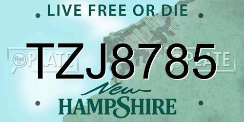 TZJ8785 New Hampshire License Plate