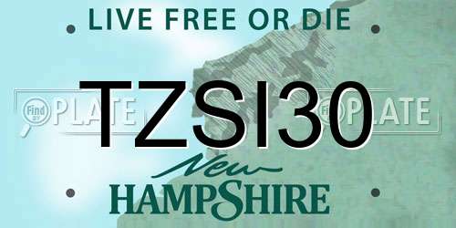 TZSI30 New Hampshire License Plate