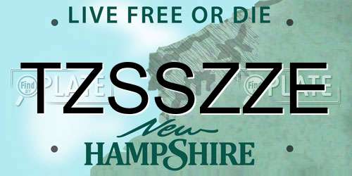 TZSSZZE New Hampshire License Plate