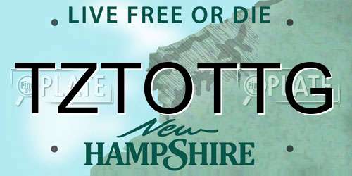 TZTOTTG New Hampshire License Plate