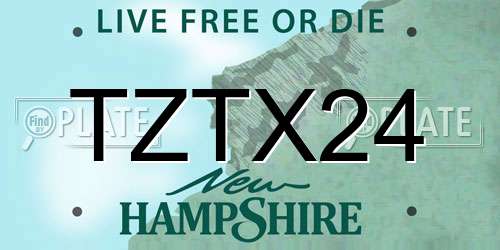 TZTX24 New Hampshire License Plate