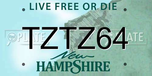 TZTZ64 New Hampshire License Plate