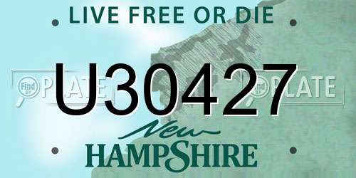 U30427 New Hampshire License Plate