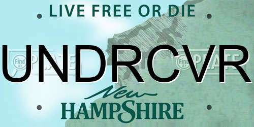 UNDRCVR New Hampshire License Plate