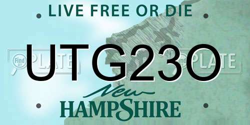UTG23O New Hampshire License Plate