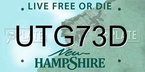 UTG73D New Hampshire License Plate