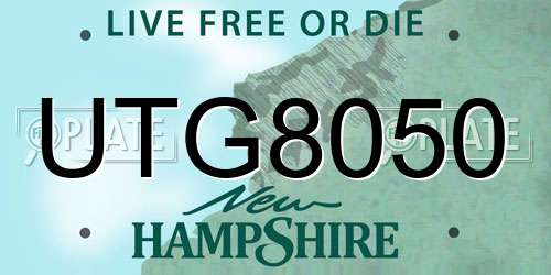UTG8050 New Hampshire License Plate