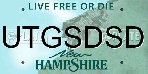 UTGSDSD New Hampshire License Plate