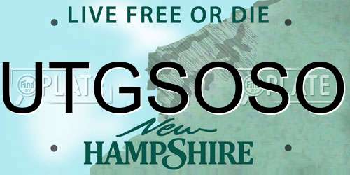 UTGSOSO New Hampshire License Plate