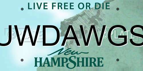 UWDAWGS New Hampshire License Plate