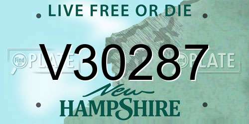 V30287 New Hampshire License Plate