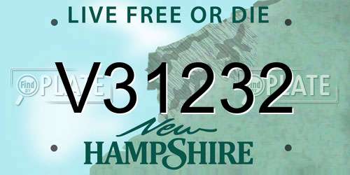 V31232 New Hampshire License Plate