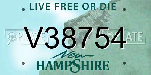 V38754 New Hampshire License Plate