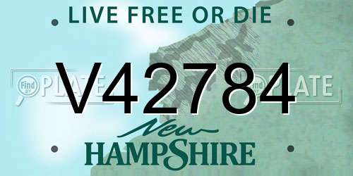 V42784 New Hampshire License Plate