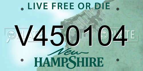V450104 New Hampshire License Plate