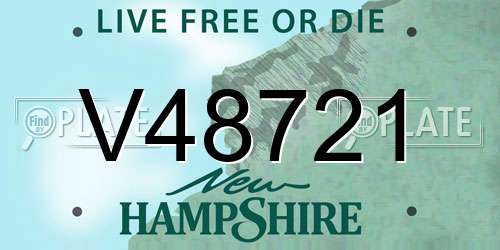 V48721 New Hampshire License Plate