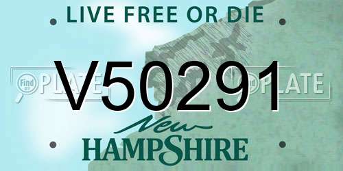 V50291 New Hampshire License Plate