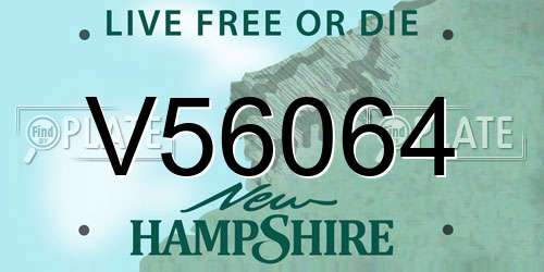 V56064 New Hampshire License Plate