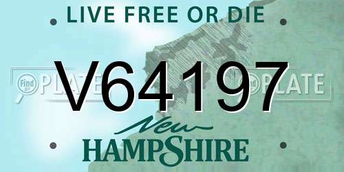 V64197 New Hampshire License Plate