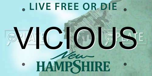 VICIOUS New Hampshire License Plate