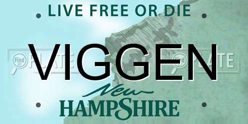 VIGGEN New Hampshire License Plate