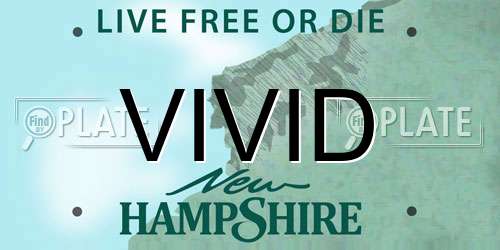 VIVID New Hampshire License Plate
