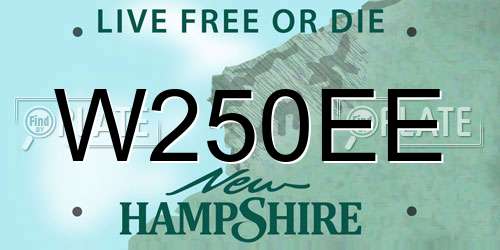 W250EE New Hampshire License Plate