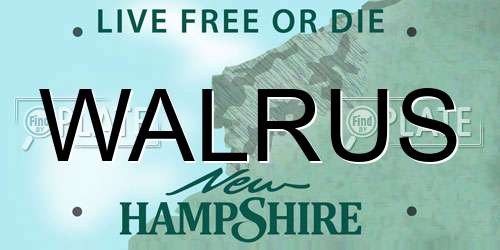 WALRUS New Hampshire License Plate