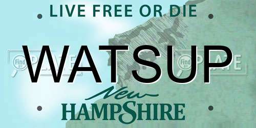 WATSUP New Hampshire License Plate