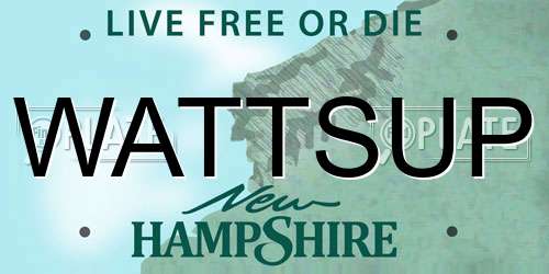 WATTSUP New Hampshire License Plate