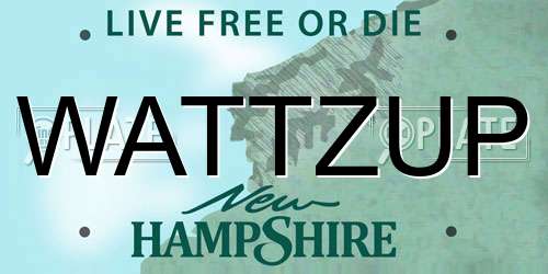 WATTZUP New Hampshire License Plate