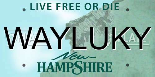 WAYLUKY New Hampshire License Plate