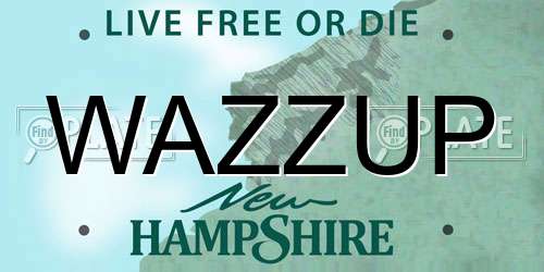 WAZZUP New Hampshire License Plate