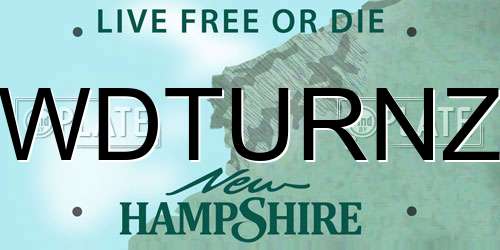 WDTURNZ New Hampshire License Plate