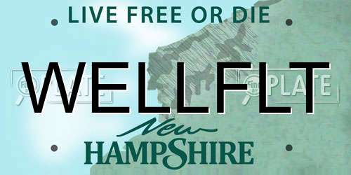 WELLFLT New Hampshire License Plate